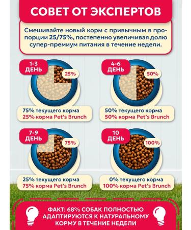 Pet's Brunch Dry food for adult dogs of large breeds with a veal of 4 kg - Buy Online on GoSupps.com