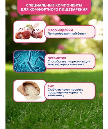 Pet's Brunch Dry food for dogs of large breeds with a turkey 4 kg - Buy Online on GoSupps.com