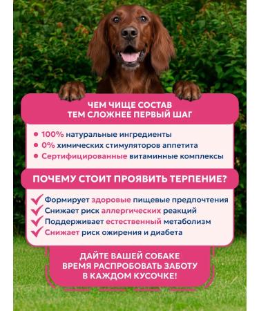 Pet's Brunch Dry food for dogs of large breeds with a turkey 4 kg - Buy Online on GoSupps.com