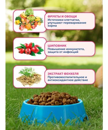 Pet's Brunch Dry food for dogs of miniature rocks with a turkey 1 kg - Buy Online on GoSupps.com