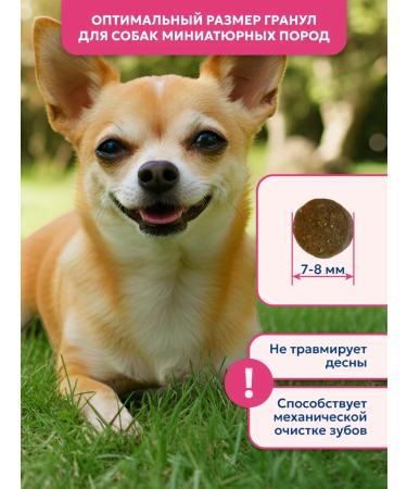 Pet's Brunch Dry food for dogs of miniature rocks with a turkey 1 kg - Buy Online on GoSupps.com