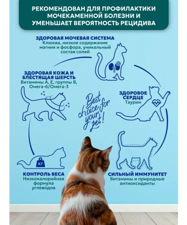 Pet's Brunch Dry food for cats Urinary at the ICD Urinary 400g - Buy Online on GoSupps.com