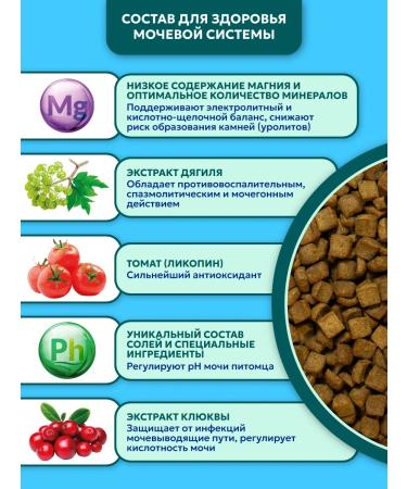 Pet's Brunch Dry food for cats Urinary at the ICD Urinary 400g - Buy Online on GoSupps.com