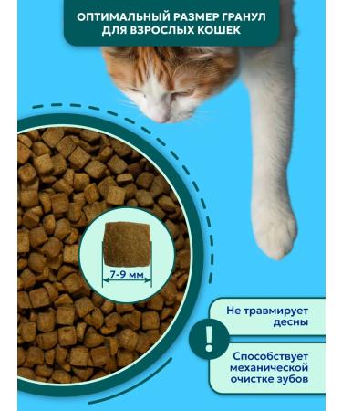 Pet's Brunch Dry food for cats Urinary at the ICD Urinary 400g - Buy Online on GoSupps.com
