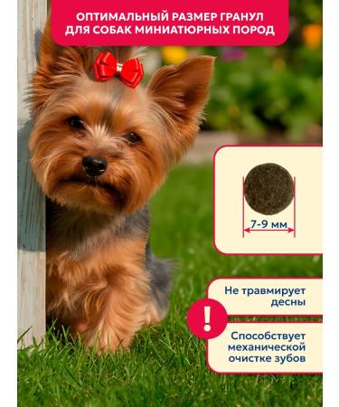 Pet's Brunch Dry food for dogs of miniature rocks with a veal of 4 kg - Buy Online on GoSupps.com