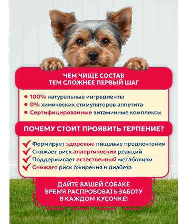 Pet's Brunch Dry food for dogs of miniature rocks with a veal of 4 kg - Buy Online on GoSupps.com