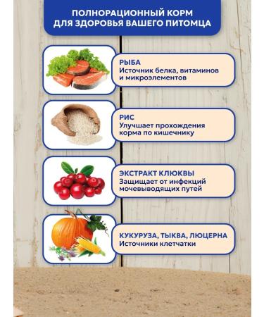 Pet's Brunch Dry food for active cats that have access to 2kg street - Buy Online on GoSupps.com