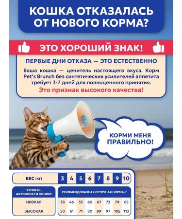 Pet's Brunch Dry food for active cats that have access to 2kg street - Buy Online on GoSupps.com