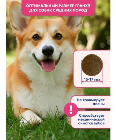 Pet's Brunch Dry food for dogs of medium breeds with a turkey 11kg - Buy Online on GoSupps.com