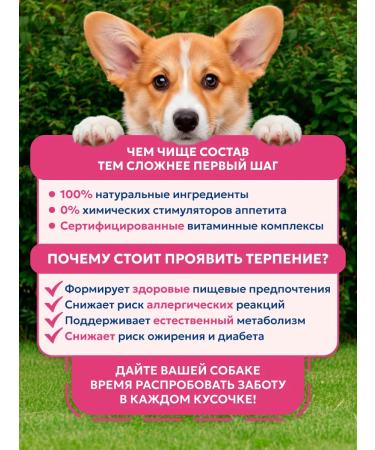 Pet's Brunch Dry food for dogs of medium breeds with a turkey 11kg - Buy Online on GoSupps.com