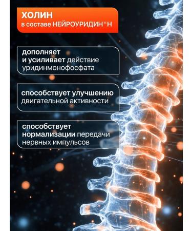 Neurouridine Complex for the spine and nervous system dietary supplement - Buy Online on GoSupps.com