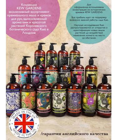 The English Soap Company Premium liquid hand soap grapefruit & lily 500 ml - Buy Online on GoSupps.com