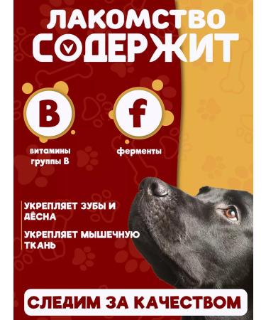 A FRIEND'S PAW Beath trachea of dogs 110g (15-18cm) - Buy Online on GoSupps.com