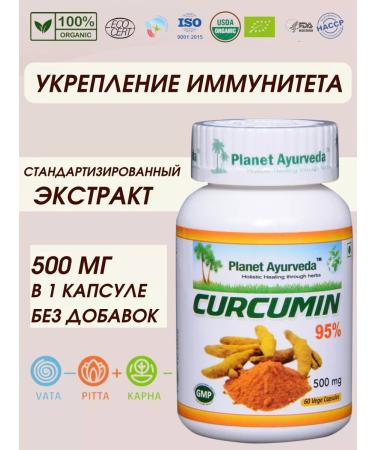 Planet Ayurveda Kurkumin Curcumin extract 500 mg Ayurveda for immunity