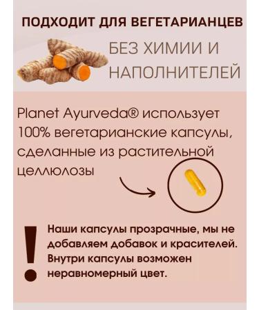 Planet Ayurveda Kurkumin Curcumin extract 500 mg Ayurveda for immunity - Buy Online on GoSupps.com