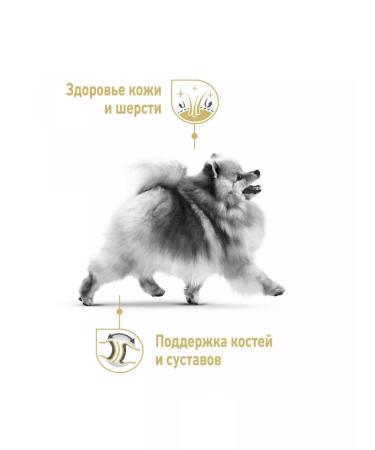 ROYAL CANIN Pomeranian Adult for dogs 1.5kg Pomeranian spitz - Buy Online on GoSupps.com