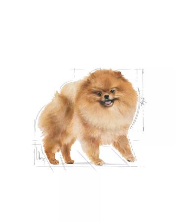 ROYAL CANIN Pomeranian Adult for dogs 1.5kg Pomeranian spitz - Buy Online on GoSupps.com