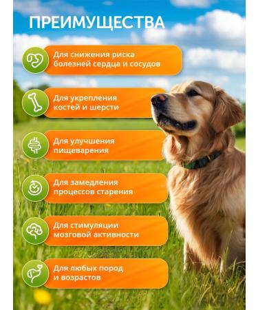 Sibagropro Dog porridge is natural cereal diet 3 (10kg) - Buy Online on GoSupps.com