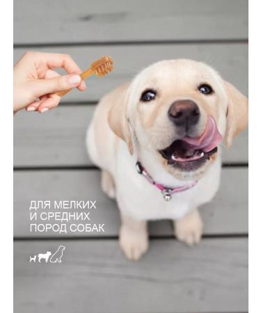 Titbit Delicacy dental dental+ to brush the teeth of dogs 350 g - Buy Online on GoSupps.com