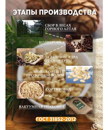 The Soul of Altai Clean cedar nuts 500g - Buy Online on GoSupps.com