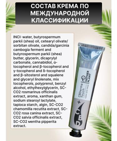 MotherPlant CBDERMA Touch CBD face cream 50 ml - Buy Online on GoSupps.com