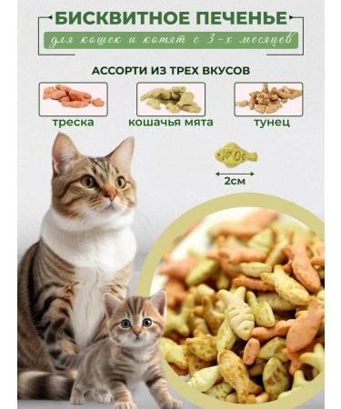PerfectPick Cat treat for mint cookies - Buy Online on GoSupps.com