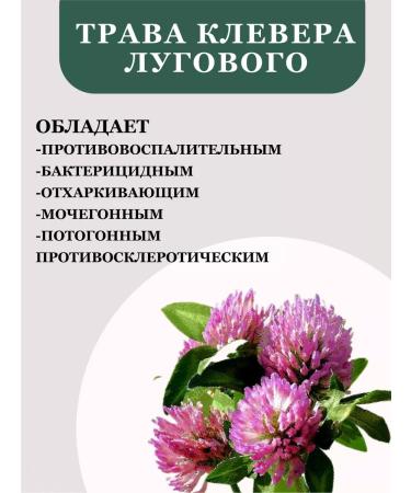 Lecraset Clover meadow grass 20 filter packages 2UP - Buy Online on GoSupps.com