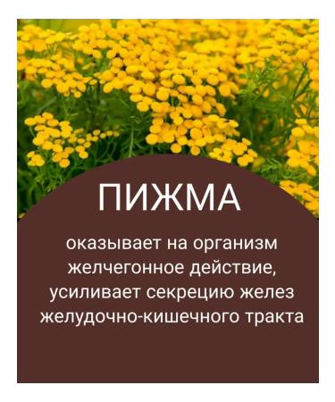 Spring of Health Vitamin complex for liver heparosis bioticrosis - Buy Online on GoSupps.com