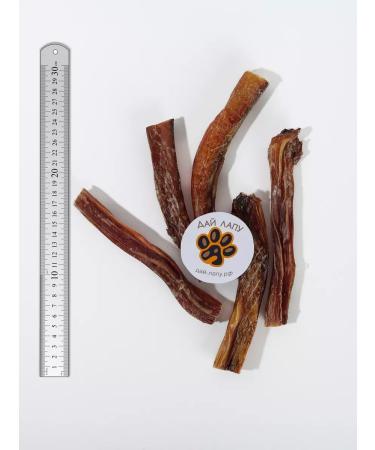 Friend's Paw Dog's goodies for the root of the bull 100g. (15-18 cm) - Buy Online on GoSupps.com