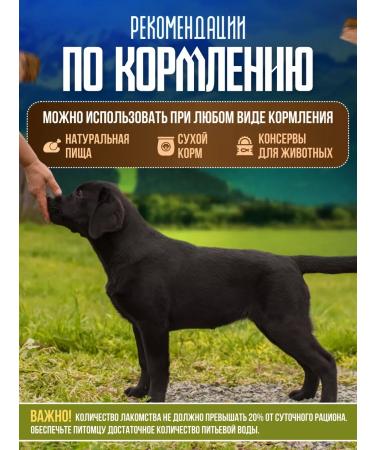 Altai Meat Processing Plant Beef treats beef light delicious - Buy Online on GoSupps.com