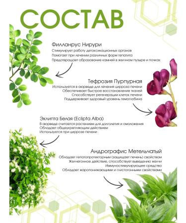 SolarLife Solar Life Liv Forte Detox and Protection - Buy Online on GoSupps.com