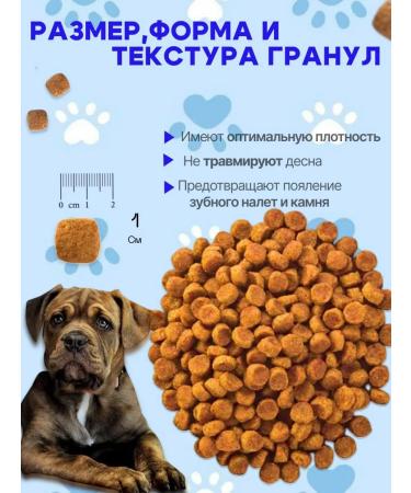 IMPENATURAL Imperial Junior with beef 10 kg - Buy Online on GoSupps.com