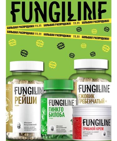 Fungiline Chaga extract 50 ml - Buy Online on GoSupps.com