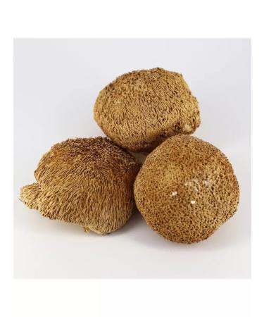 Fungiline Ezhovik combed double extract 50 ml - Buy Online on GoSupps.com