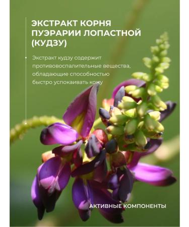 Lamar Professional Face cream capillaroprotector moisturizer from acne - Buy Online on GoSupps.com