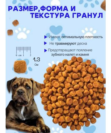 IMPENATURAL Imperial dry food holistic 10 kg - Buy Online on GoSupps.com