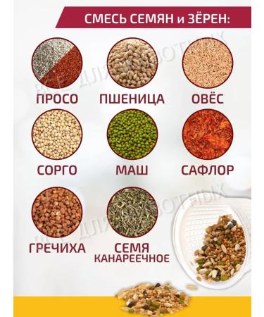 RIO Set of seeds for germination vitamins for parrots - Buy Online on GoSupps.com