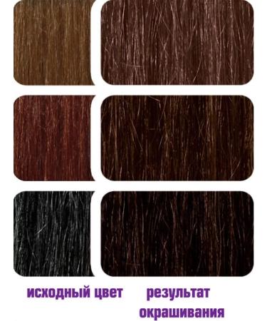 FIONA Hair cream for hair stable set 2 pcs dark chestnut - Buy Online on GoSupps.com
