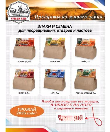 Chuvash Bread Green Buckwheat Undense 6kg - Buy Online on GoSupps.com