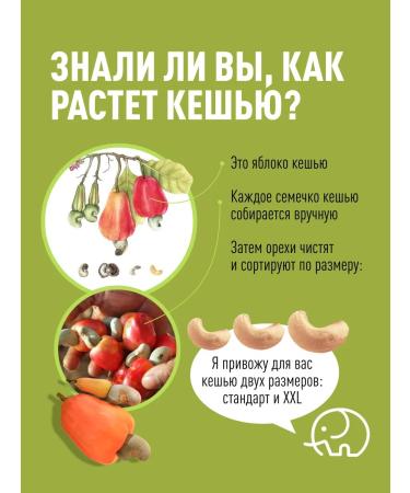 Green elephant Cashew raw nut 500 g - Buy Online on GoSupps.com