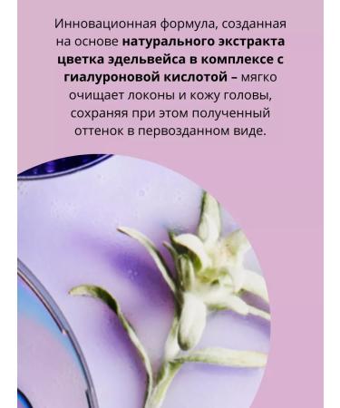 Kerastase Shampoo for lightened Blond Absolu Ultra-Violet 250 ml - Buy Online on GoSupps.com