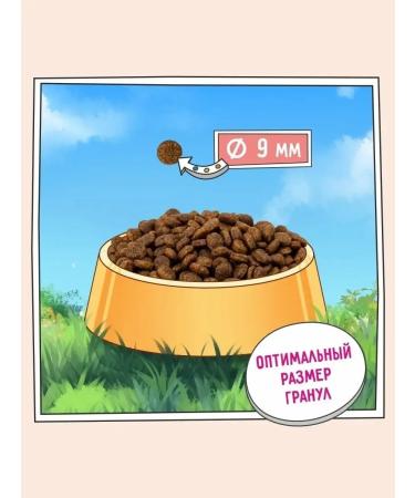 ThfeeidrLabs Dry food for cats sterilized goallergenic 2 kg - Buy Online on GoSupps.com