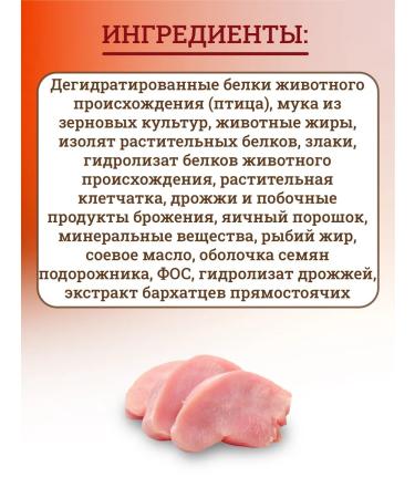 ROYAL CANIN Dry food for kittens Gastrointestinal 2 kg - Buy Online on GoSupps.com