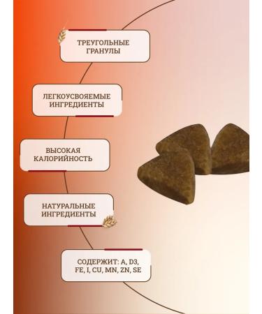 ROYAL CANIN Dry food for kittens Gastrointestinal 2 kg - Buy Online on GoSupps.com