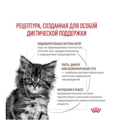 ROYAL CANIN Dry food for kittens Gastrointestinal 2 kg - Buy Online on GoSupps.com