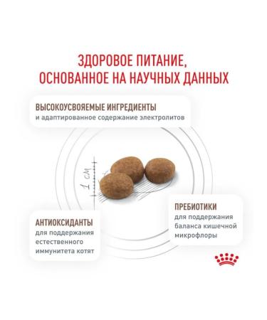 ROYAL CANIN Dry food for kittens Gastrointestinal 2 kg - Buy Online on GoSupps.com