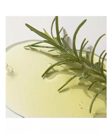 Kaine Night serum with acids Rosemary Aha Night Serum 30ml - Buy Online on GoSupps.com