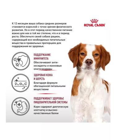 ROYAL CANIN Medium Adult for dogs 3 kg medium - Buy Online on GoSupps.com