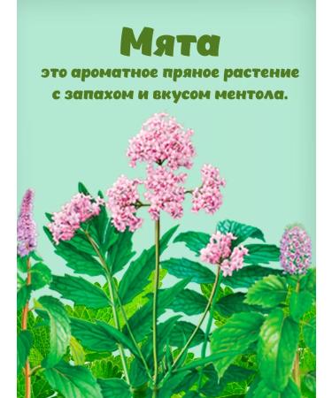 Pripravych Peppermint 6g 3 packages - Buy Online on GoSupps.com