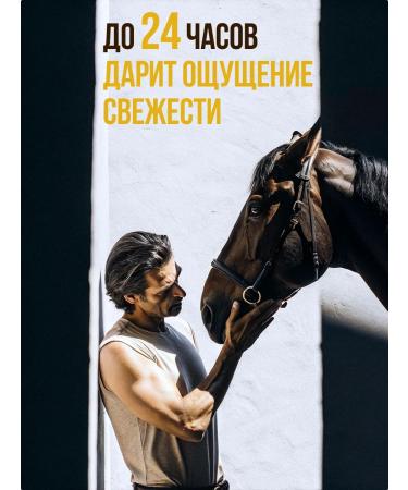 Horsepower Gift set shampoo and male shower gel - Buy Online on GoSupps.com